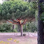 Casal Do Frade Гостевой дом 4*