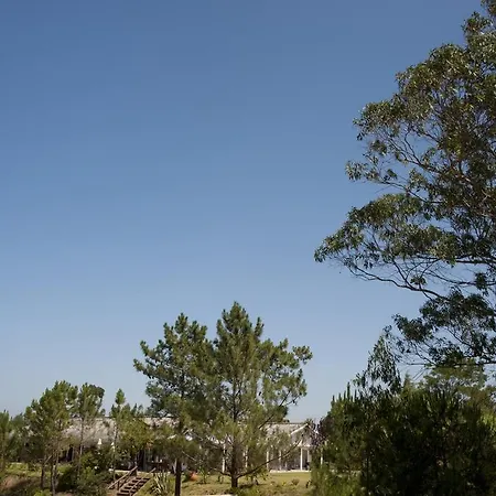 Гостевой дом Casal Do Frade