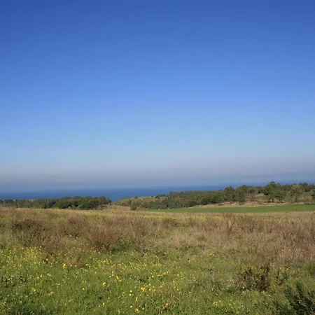 Гостевой дом Casal Do Frade