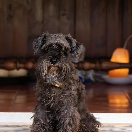 Pensión Casal Do Frade